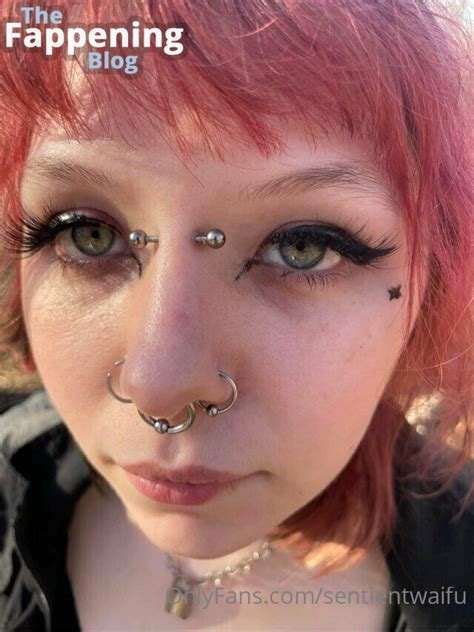 Sentientwaifu Nude Leaks Photo 22 TheFappening