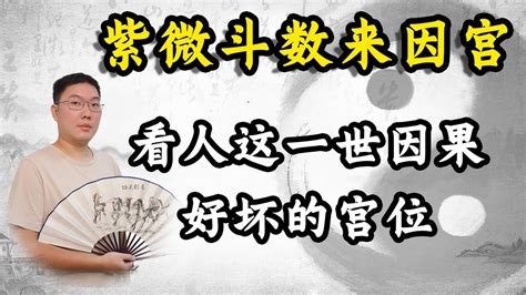 紫微斗数来因宫，看人这一世因果好坏的宫位，在不同宫位入夫妻十二宫详解 Youtube