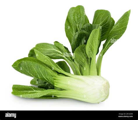 Fresh Pak Choi Cabbage Isolated On White Background With Full Depth Of