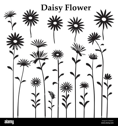 Gerber Daisy Silhouette