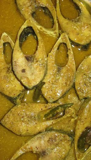 Hilsa Fish - national fish of Bangladesh - hilsha