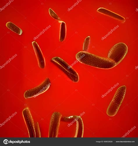 Escherichia Coli Coli Cells Bacteria Microscope Stockfotografie Lizenzfreie Fotos © Cavan