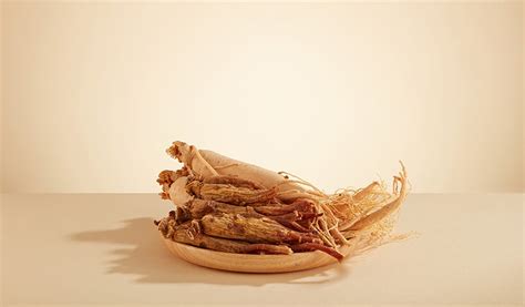 Why We Love Ginseng: Health Benefits, Different Types, and Side Effects ...