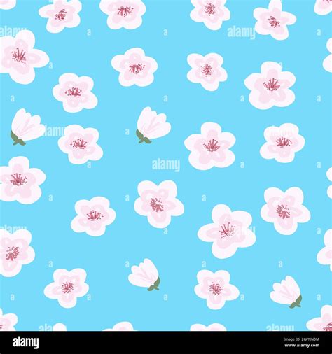 Diseño Floral Sin Costuras Con Flores Sakura Sobre Fondo Azul Ilustración De Vector De Stock