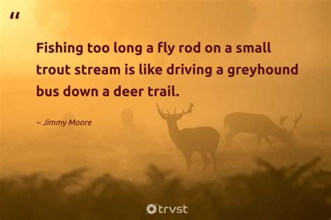 35 Deer Quotes About The Graceful Mammals with Antlers