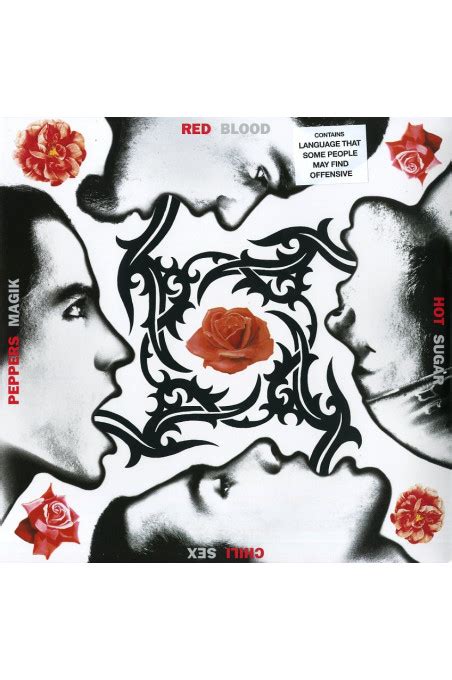 Blood Sugar Sex Magik Red Hot Chili Peppers LP