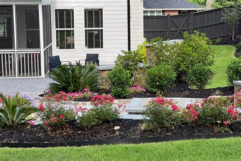 How To Choose Low Maintenance Plants For Landscaping