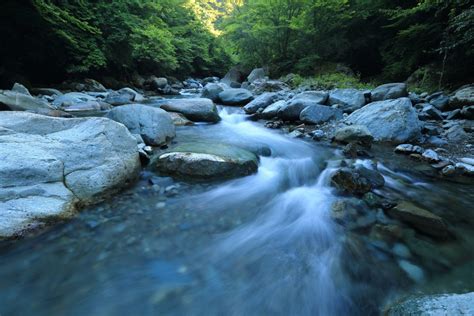 Fotos Gratis Rbol Naturaleza Bosque Rock Cascada Arroyo