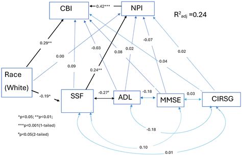 The Relationships Between Caregiver Burden Physical Frailty Race Behavioral And Psychological