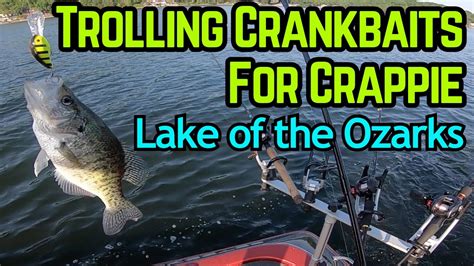 Trolling Crankbaits For Crappie On Lake Of The Ozarks Crappie