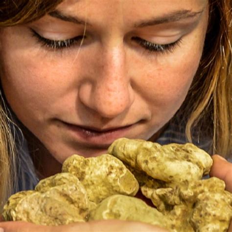 Esperienze Fiera Internazionale Del Tartufo Bianco D Alba Alba Langhe