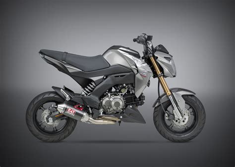 Kawasaki Z125 Pro Motorcycle