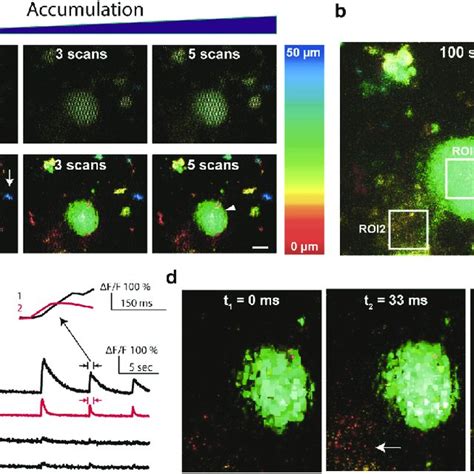 Volumetric Imaging And System Characterization A Depth Color Coded