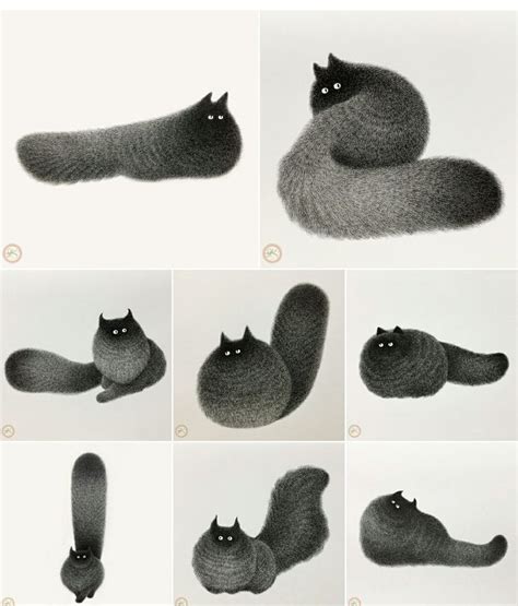 there are many pictures of cats that can be used to make something interesting and fun