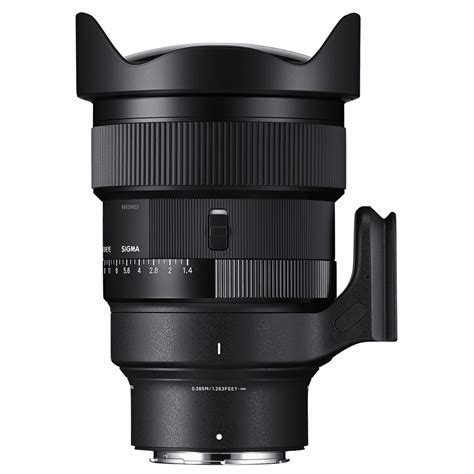 Sigma 15mm F1 4 DG DN Diagonal Fisheye für L Mount online bestellen