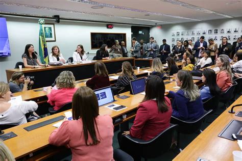 Painel Deputadas Federais Est O Mais Mobilizadas Do Que Colegas Homens