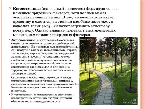 Экосистемы и человеческие экосистемы. Их сходства и различия - online ...