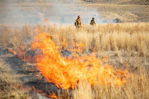 Explainer The Purpose Behind Prescribed Burns