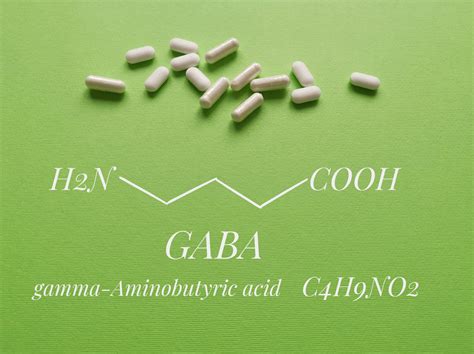 GABA Acido Gamma Amminobutirrico Erboristeria Lettig Natur