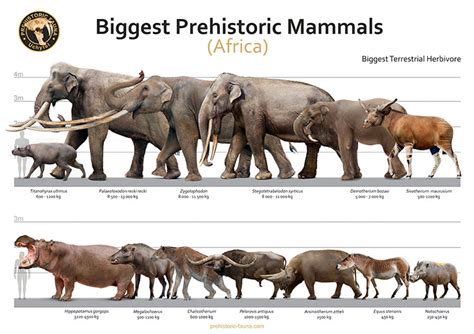 Biggest Prehistoric Mammals (Africa) by Rom-u on DeviantArt