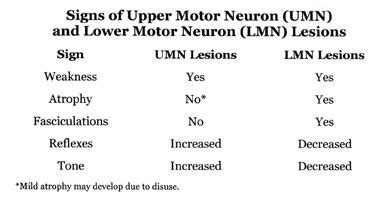 Umn Vs Lmn Symptoms Motor Neuron Neurons Physical Therapy School