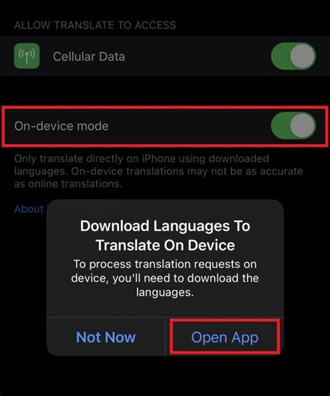 How To Enable Offline Mode For Translate App On Iphone