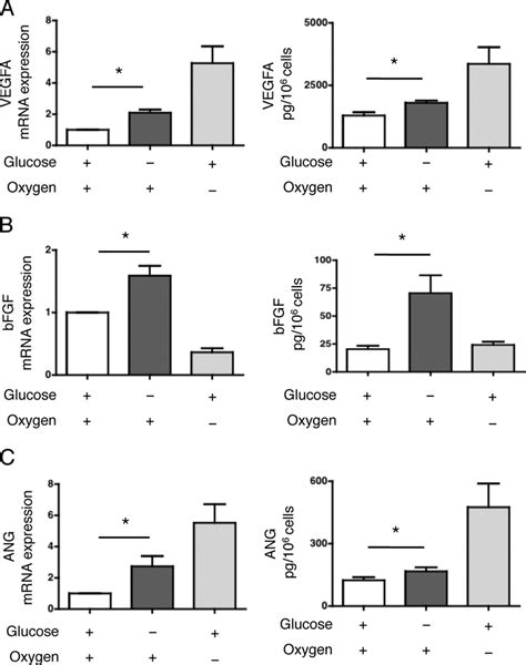 Glucose Deprivation Induces The Expression Of Angiogenic Mediators A