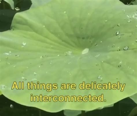 love at the bottom of the sea.