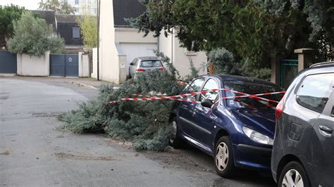 Tempête Ciaran en Indre et Loire Un fort coup de vent et une pointe