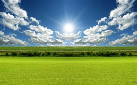 Grassy Field Wallpapers Top Free Grassy Field Backgrounds