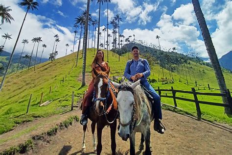 Cabalgata Mirador Dos Y Rio Valle Del Cocora Cocoratours