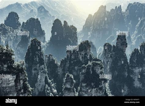 Zhangjiajie Forest Park at sunrise time. China Stock Photo - Alamy