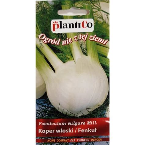 Koper włoski Fenkuł Doux De Florence 1G Standard Plantico rolno