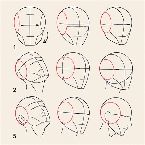Desenhos Da Cabeça - Como Desenhar a Cabeça – Guia Passo a Passo para Artistas