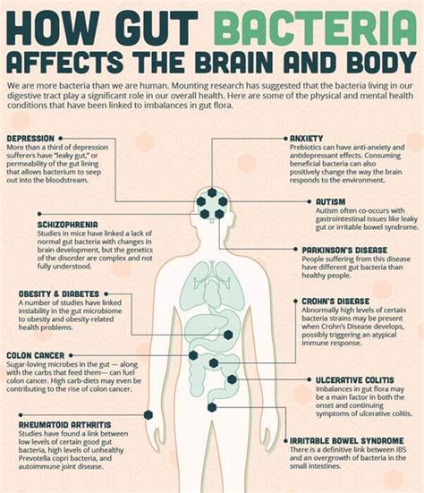 Infographic How Gut Bacteria Affects The Brain And Body Health Blog