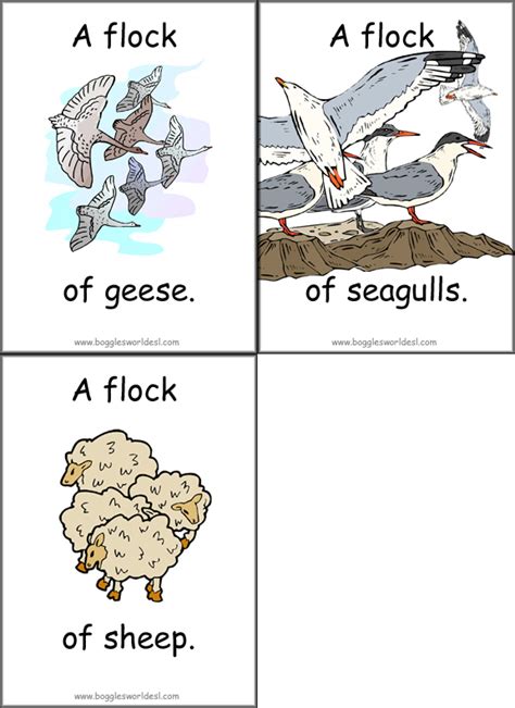 Animal Collective Noun Flashcards