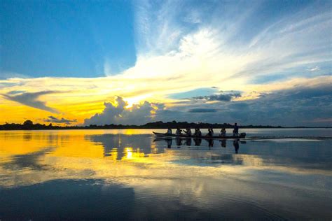 Amazon Safari Day Trip from Manaus | Gray Line