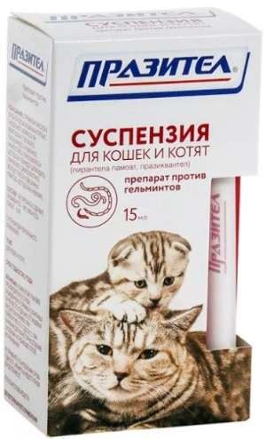Средства от глистов для кошек: ТОП таблетки, суспензии, капли