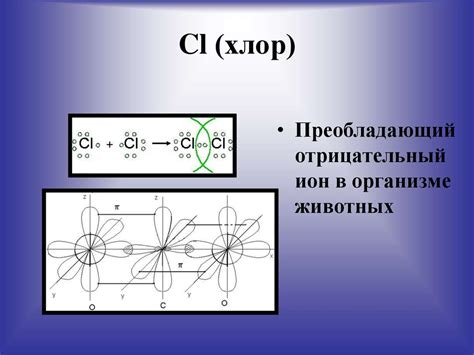 Химический состав клетки - презентация онлайн