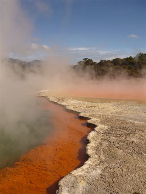 Rotorua Hot Springs; New Zealand | Hot springs, New zealand, Country roads