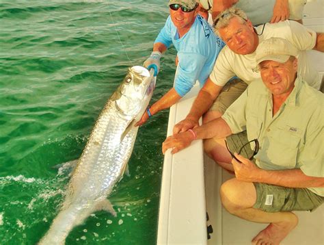 Boca Grande Englewood Tarpon Fishing Pictures Florida Inshore Xtream