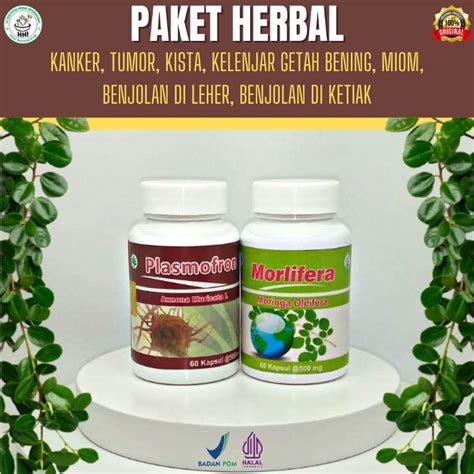 Jual Paket Obat Dalam Kanker Shopee Indonesia