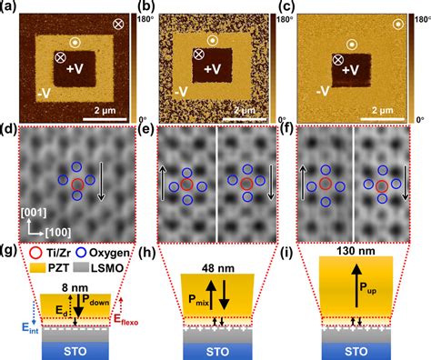 Room Temperature Out Of Plane PFM Diagrams And STEM ABF Images Viewed