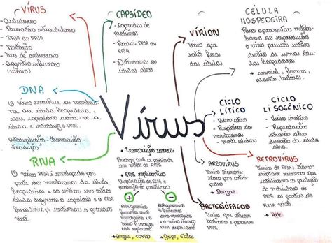 Vírus [resumos e mapas mentais] - Infinittus