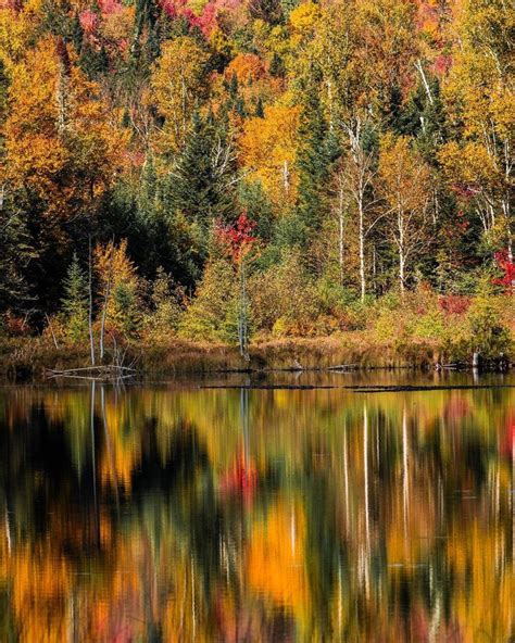 New Jersey Fall Foliage Map 2021 Shag Weblogs Photographic Exhibit