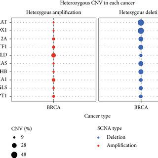 The Prognostic Value Of The Cuproptosis Related Genes In Breast Cancer