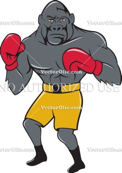 Gorilla Boxer Boxing Stance Cartoon Royalty Free Cartoon Vectors