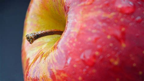 Wallpaper Apple Fruit Macro Hd Picture Image