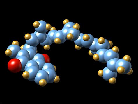 Vitamin K2 Molecular Model Photograph By Dr Mark J Winter Fine Art America