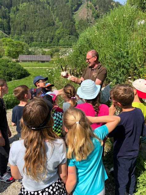 Volksschule Pachern 2a Naturwelten Steiermark In Mixnitz